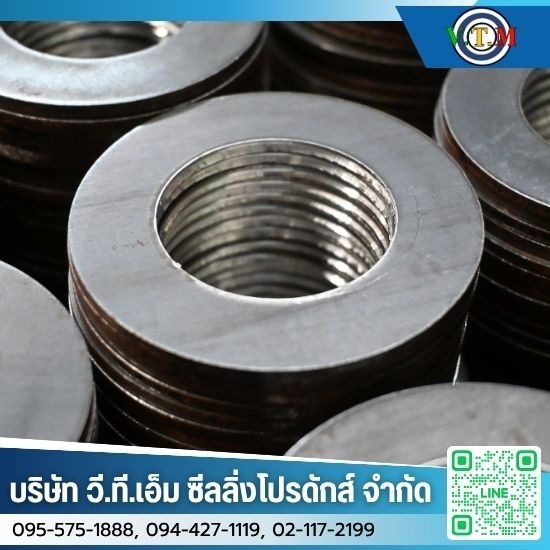 ปะเก็นเหล็ก